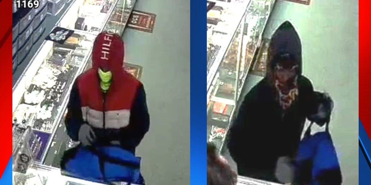 Greenville police report searching for 2 suspects after vape store robbery