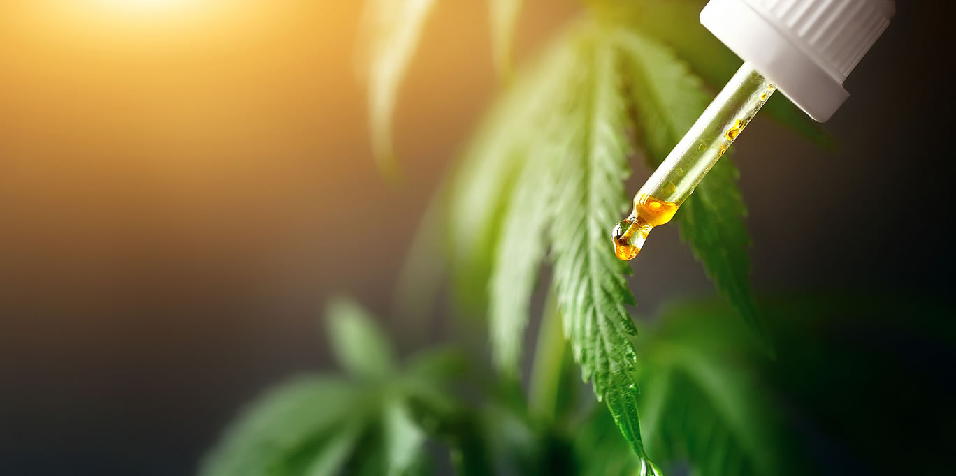 How to source and buy the best-quality CBD for optimum health this summer