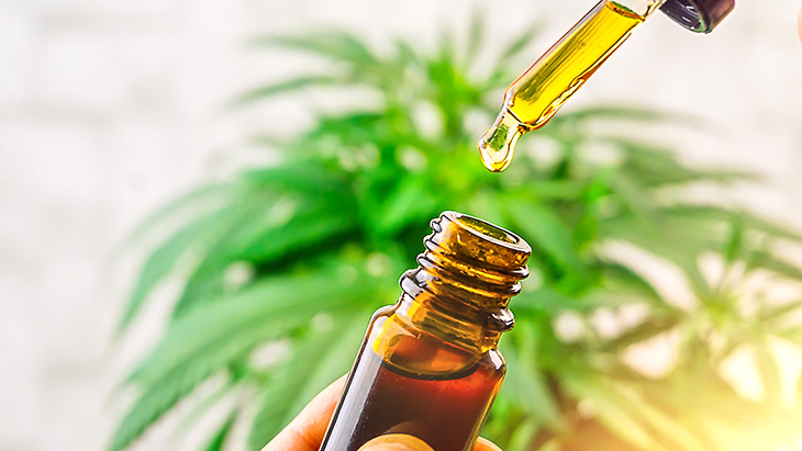 Patients With Drug-Resistant Epilepsy Experience Seizure Freedom Following Daily Use of Cannabis Extracts