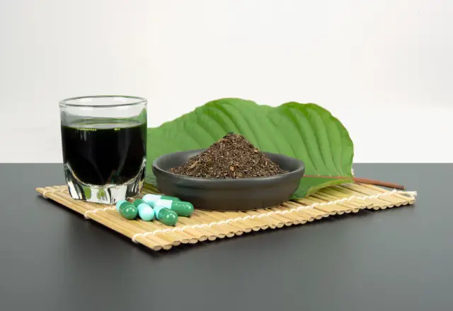 Nodzilla Kratom Fans Are All Shopping Through MIT Therapy: Here’s How