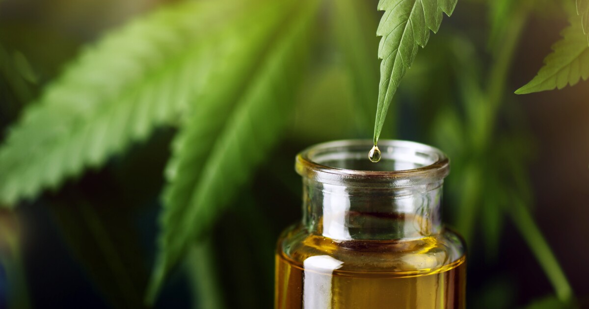 Cannabis compounds show promise as topical antifungals